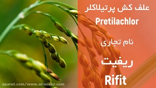 علف کش پرتیلاکلر و دفع علف های هرز باریک برگ و پهن برگ مزارع برنج