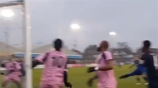 نخواد بره نمیره