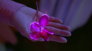 قسمت28 سریال چینی (قاره دولو) سرزمین ارواح + زیرنویس فارسی