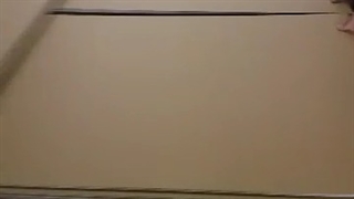 محصولات تولید کارتن | 02156587541