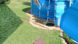 استخر بست وی