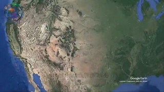 حیوانات قهرمانی که جون انسانها رو نجات دادند