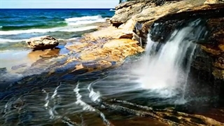 PharmaHempCBDペースト50%5ml通販最安値と購入方法｜高濃度フルスペクトラム