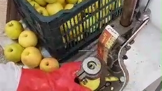 دستگاه هسته گیر اهرمی _ 09924634894