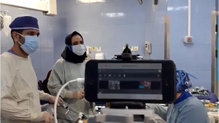 بخشى از وبینار آموزشى دکتر اعظم السادات مهدوى براى متخصصین