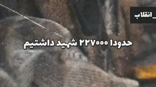 مبارزان زن