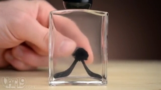 Ferrofluid in a Bottle