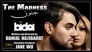 فیلم جنون (The Madness 2020)