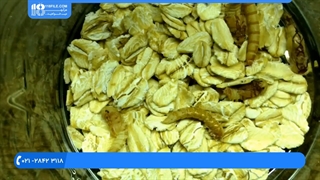 پرورش میل ورم _ تبدیل شفیره میل ورم به سوسک