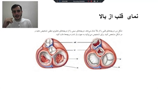 تدریس مجازی زیست هفتم- استاد چراغیان- ترم دوم- جلسه چهارم