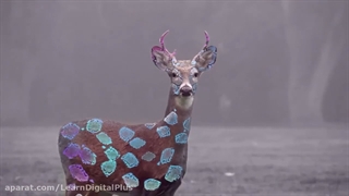 پلاگین Lockdown