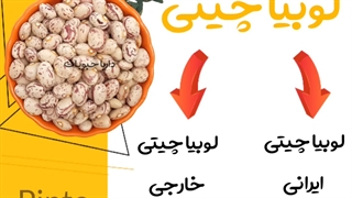 قیمت عمده انواع لوبیا در سال 99