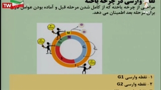 تنظیم تقسیم یاخته