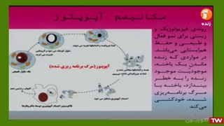 سرطان ومرگ یاخته