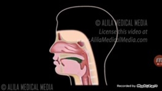 عمل بلع به روایت تصویر