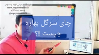 چای سرگل بهاره چیست ؟!
