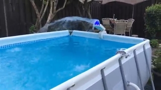 استخر پرورش ماهی