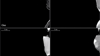 مقایسه سه مدل ماسک از نظر انتقال ذرات ریز(پارچه ای یک لایه و دو لایه و ماسک جراحی)