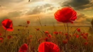 منم همینطور....... :)♡