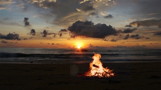 تو را دوست دارم