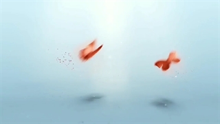 علل سقط جنین در سه ماه اول بارداری