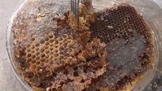 رضایت صد درصدی مشتریان عسل گراوان