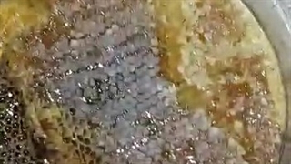 رضایت صد درصدی مشتریان عسل گراوان / خرید عسل کوهی