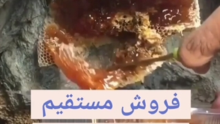 خرید عسل وحشی گراوان / خرید عسل شاخه