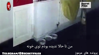 ویدیوی ترسناک ظهور چهره شبح مقابل دوربین [بلک وود،ولز] (شکار دوربین _ قسمت ۲۲)