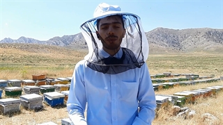 عسل ارگانیک