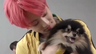 سگ در این حد خرشانس:|؟