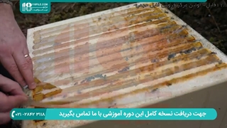 آشنایی با شرایط آب و هوایی منطقه مد نظر برای راه اندازی کسب و کار زنبورداری