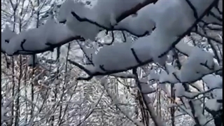 اجاره ویلا با استخر در میگون