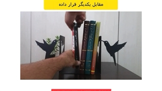 استند و نگهدارنده کتاب نیتا طرح پرنده