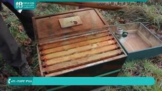 آموزش ضدعفونی کندو و قاب های زنبور عسل