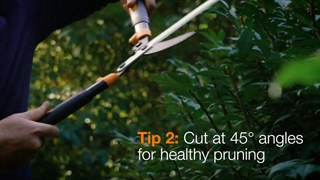 قیچی باغبانی فیسکارس