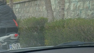 حالا که حال هر دو تایی مون بده