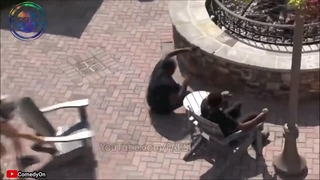 ایده های خلاقانه ای که باید در تمام جاهای دنیا به کار گرفته بشه!!!