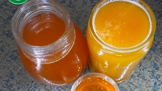 عسل طبیعی یا آفتاب پرست جنگلی