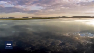 نابودی طبیعت، بهای سنگین رفاه بشر