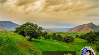 سفری به دشت سوسن