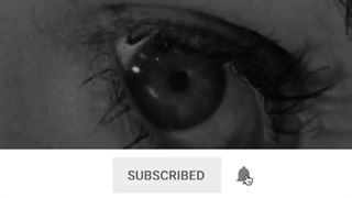 چگونه از نمای کلوزآپ استفاده کنیم ؟