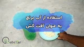 کوددهی و آفت کشی گیاهان با آب برنج