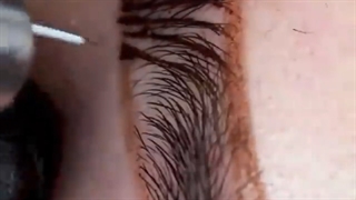 فیبروز ابرو | 09120854963