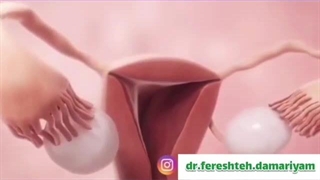 تخمک گذاری