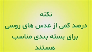 قیمت روز عدس روس