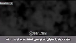 اسرار سلول های بدن شما