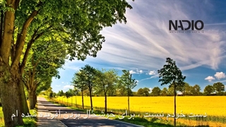 ریلکس و آرام بخش همراه با تصاویر زیبا از طبیعت-NADIO