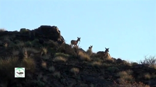 اثری از انجمن دوستداران محیط زیست و طبیعت کلمرز