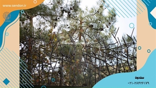 حفاظ شاخ گوزنی سندان